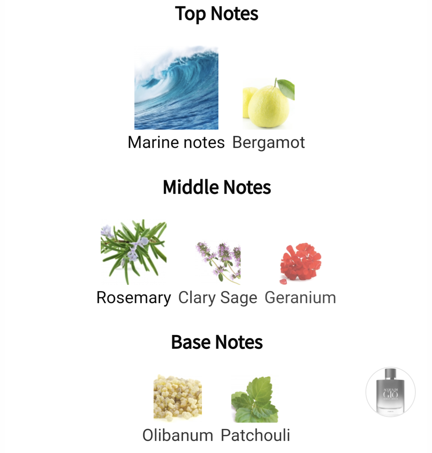 Acqua di Giò Parfum Giorgio Armani for men Decants