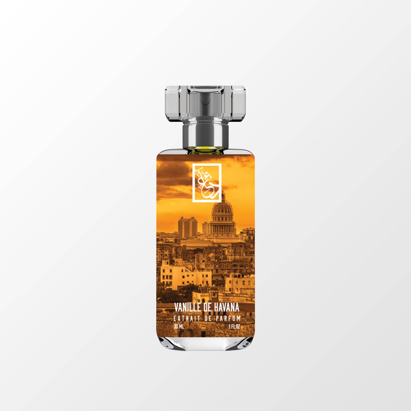 T DUA 3ML DECANTS THAT START WITH T