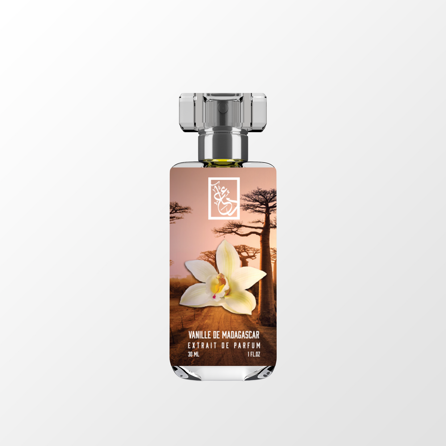 T DUA 3ML DECANTS THAT START WITH T