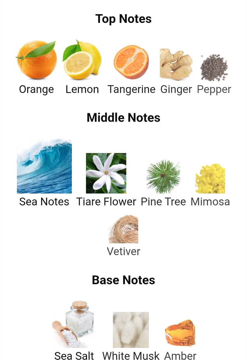 Mancera French Riviera FRAGRANCE SAMPLES