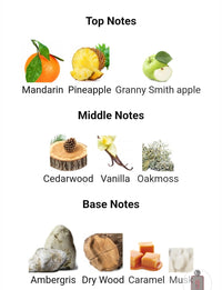 Afnan 9pm REBEL 5ML DECANTS