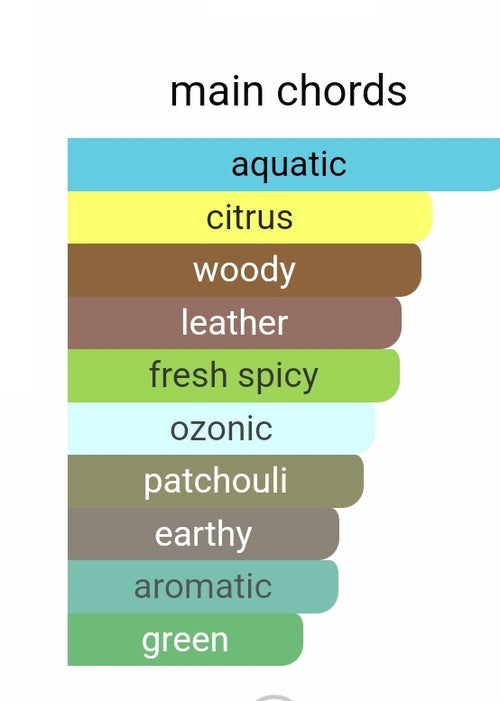 Giorgio Armani Acqua Di Gio Elixir Fragrance Samples.