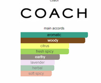Coach Open Road  for men Decants