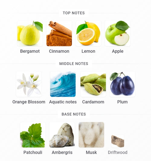 RAYHAAN GRANADA (INVICTUS 2016 TWIST) 5ML SAMPLES