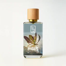 DUA FRAGRANCES JUNE 26TH NEW RELEASES 3ML SAMPLES