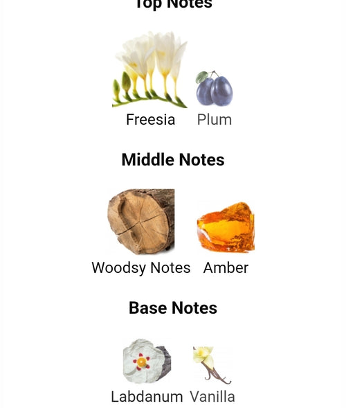 FRAGRANCE WORLD Axis by French Ave (Byredo Vanilla Antique TWIST) 5ML SAMPLES