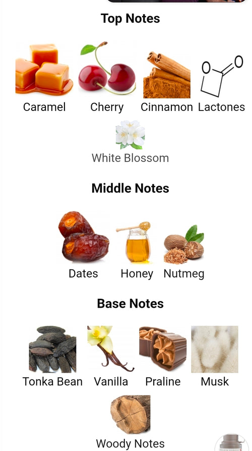 Armaf  Odyssey Black Forest 5ml DECANTS