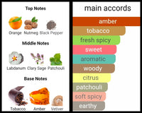 DOLCE GABBANA THE ONE POUR HOMME PARFUM DECANTS PRE-ORDER SHIP BY 12/26