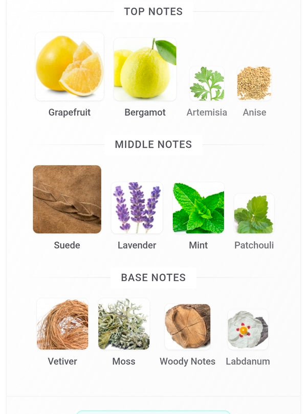 Street Origins Auckland Ru9sh 5ML SAMPLES PRE-ORDER SHIP BY 4/23