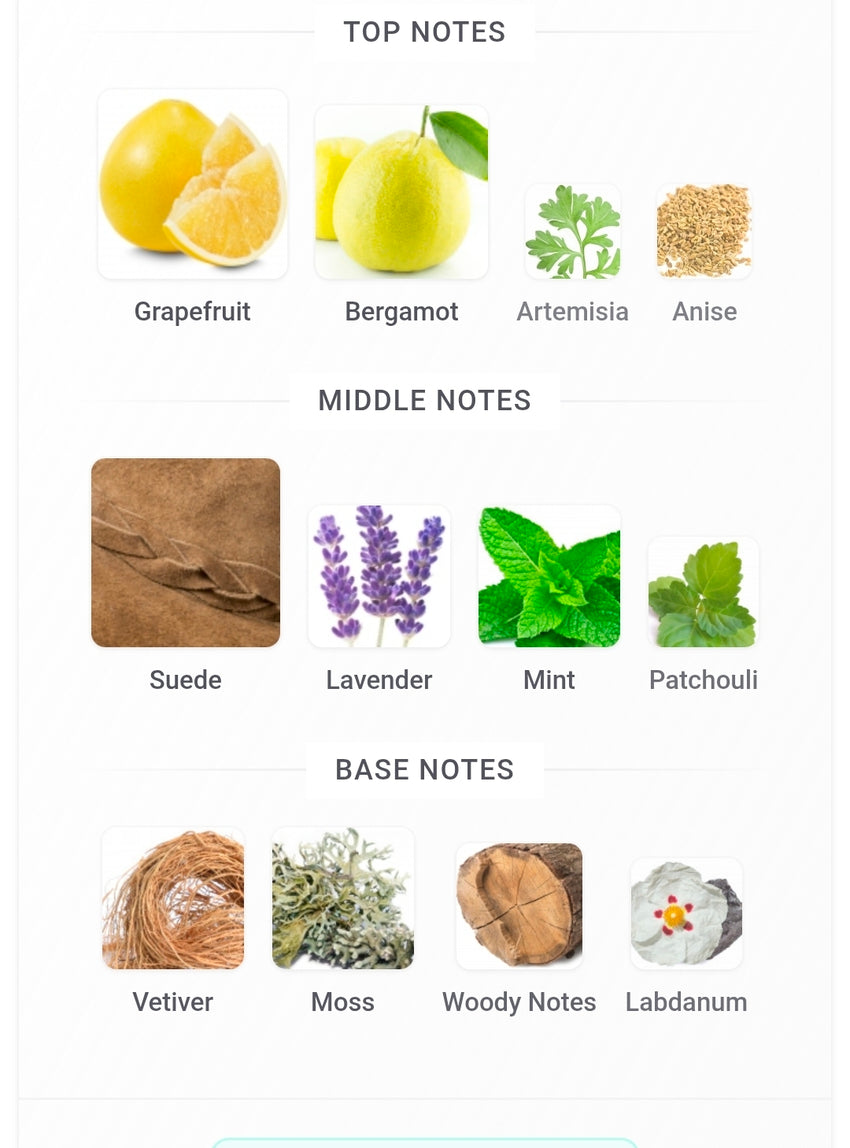 Street Origins Auckland Ru9sh 5ML SAMPLES PRE-ORDER SHIP BY 4/23