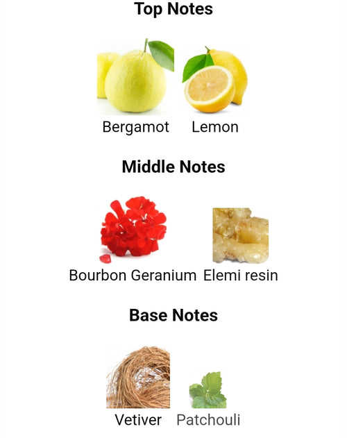 YVES SAINT LAURENT Y LE PARFUM 2025 RELEASE.