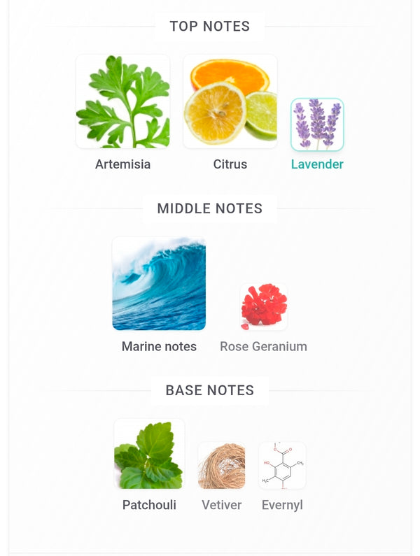 Street Origins Love Daze Santorini 5ML SAMPLES