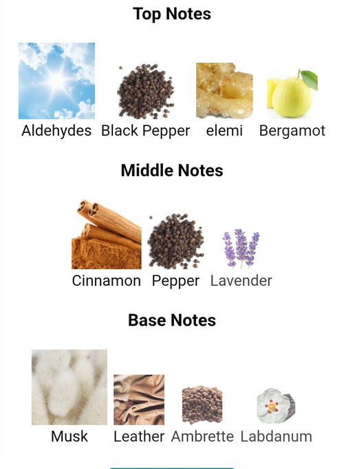 Viktor&Rolf  Spicebomb Metallic Musk FRAGRANCE SAMPLES