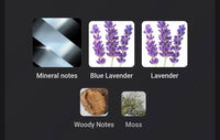 Hugo Boss Boss Bottled Striking Lavender FRAGRANCE SAMPLES