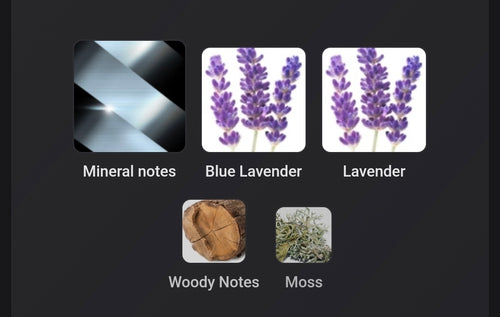Hugo Boss Boss Bottled Striking Lavender FRAGRANCE SAMPLES