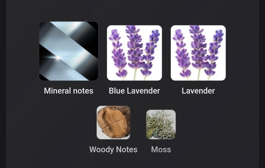 Hugo Boss Boss Bottled Striking Lavender FRAGRANCE SAMPLES