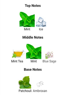 Yves Saint Laurent Y Iced Cologne SAMPLE DECANTS PRE-ORDER SHIP BY 1/22