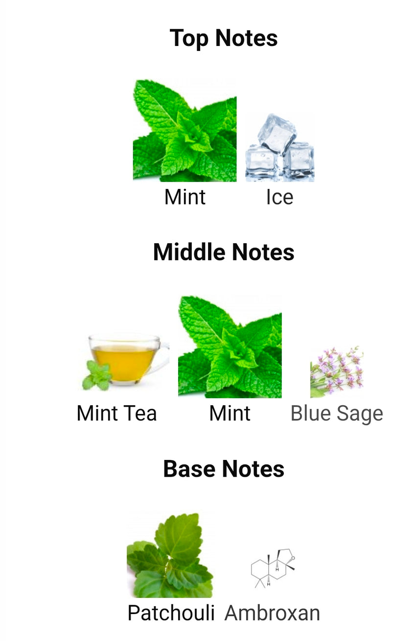 Yves Saint Laurent Y Iced Cologne SAMPLE DECANTS PRE-ORDER SHIP BY 1/22