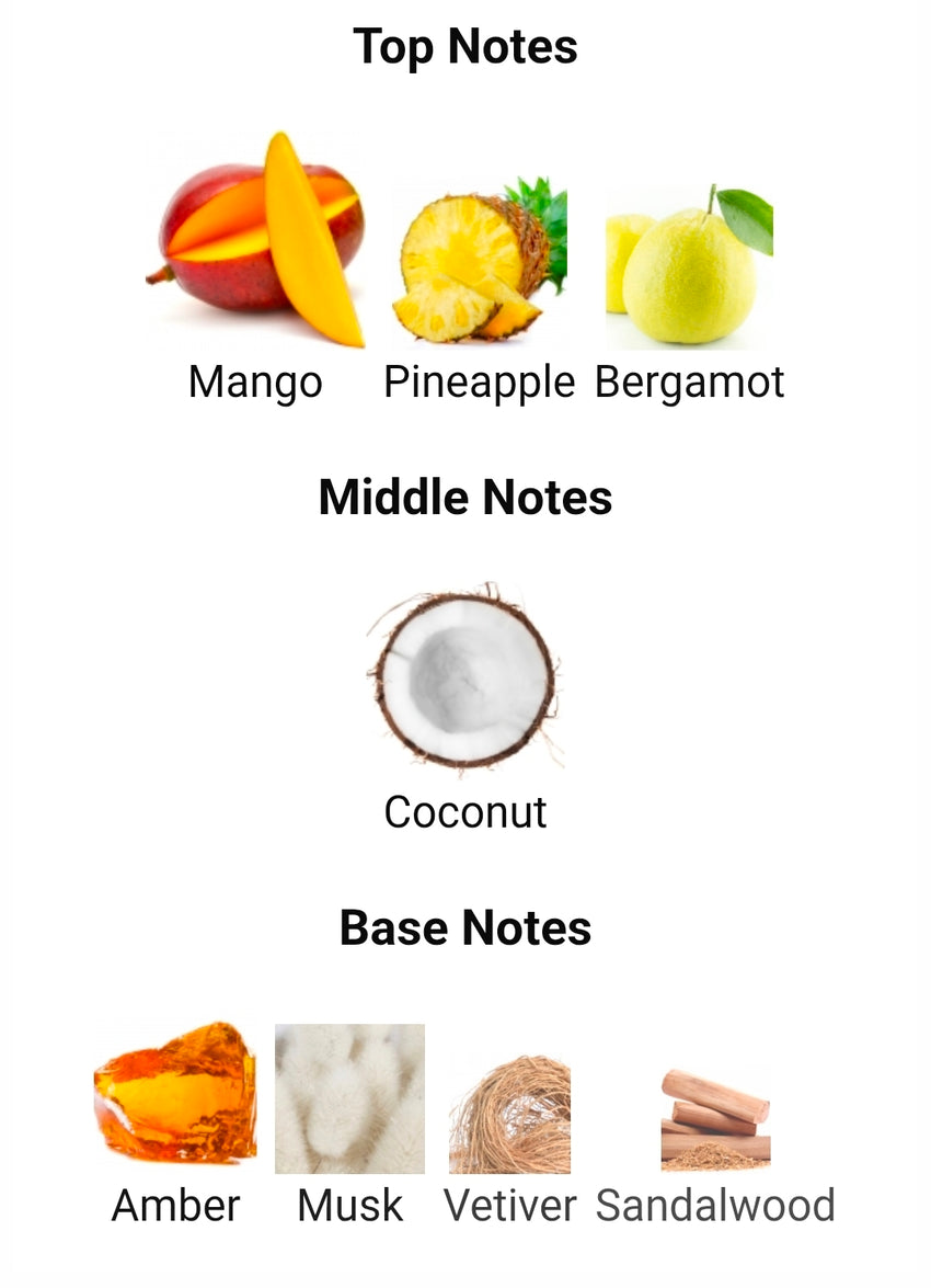 RAYHAAN TROPICAL VIBE (SUMMER HAMMER TWIST) 5ML DECANTS PRE-ORDER SHIP BY 12/19