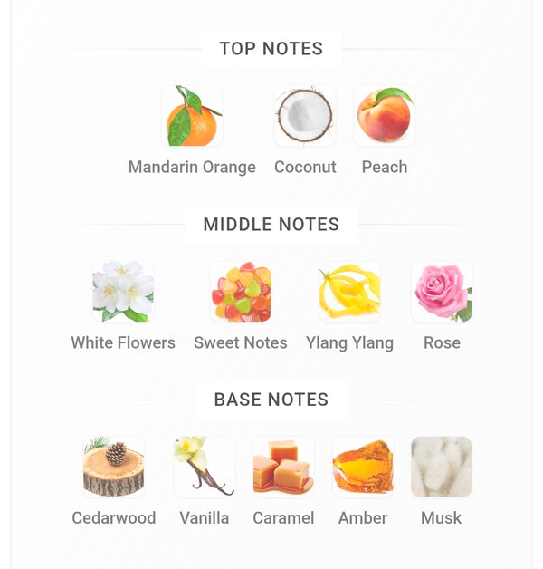 Street Origins MIAMI MAGIC 5ML SAMPLES PRE-ORDER SHIP BY 4/23