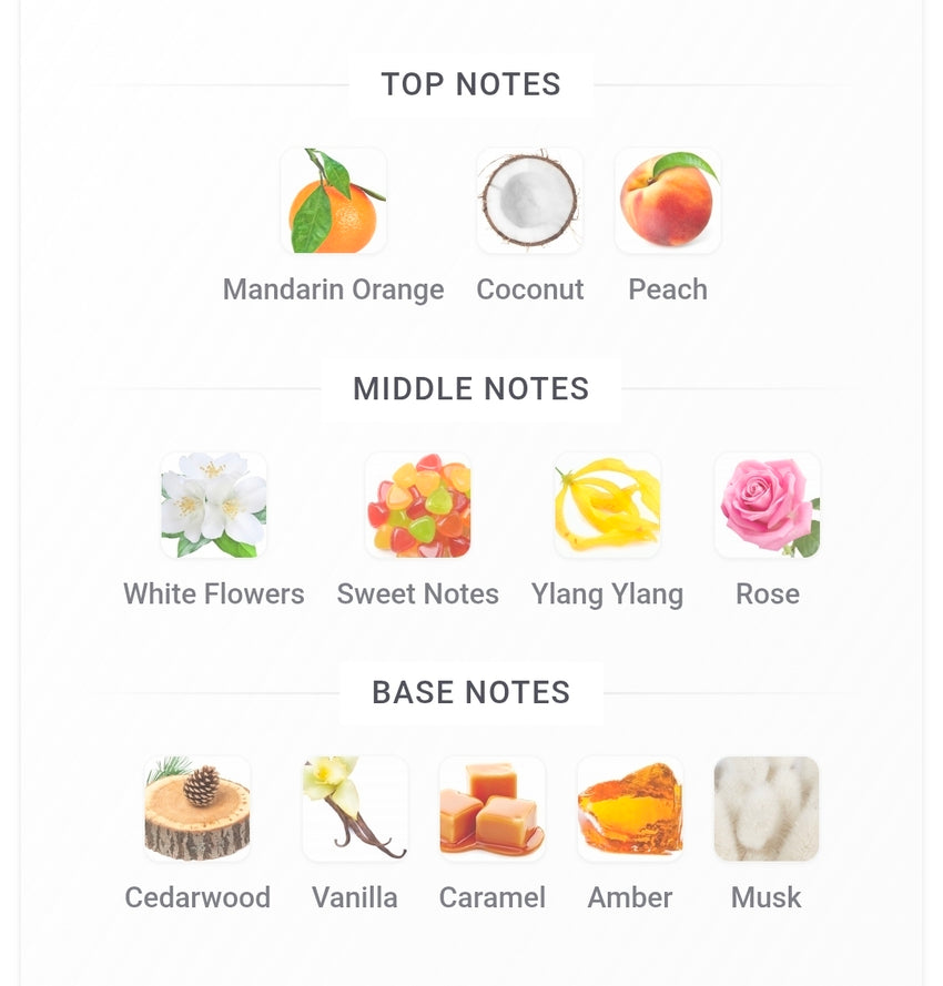 Street Origins MIAMI MAGIC 5ML SAMPLES PRE-ORDER SHIP BY 4/23