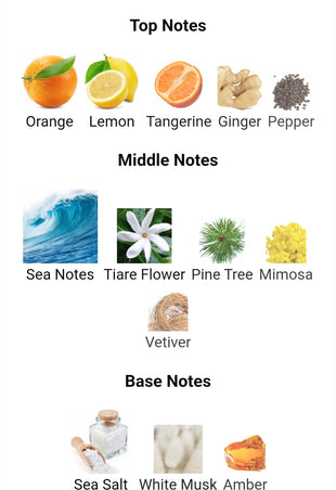 Mancera French Riviera FRAGRANCE SAMPLES