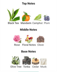 FOMO Parfums Fraglover's Tea 5ML DECANTS