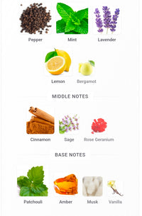 Street Origins That's London, Love 5ML SAMPLES PRE-ORDER SHIP BY 4/23 (Copy)