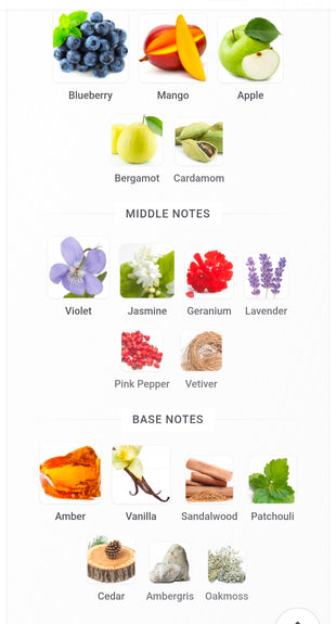 FRENCH AVENUE X AROMATIX  FROSTBITE 5ML DECANTS