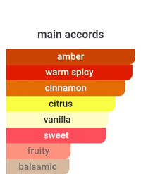 ROBANE 1 Million Night Elixir FRAGRANCE SAMPLES