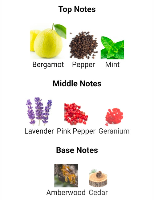 RAYHAAN NOCTURNAL ( SAVAUGE PARFUM TWIST) 5ML DECANTS