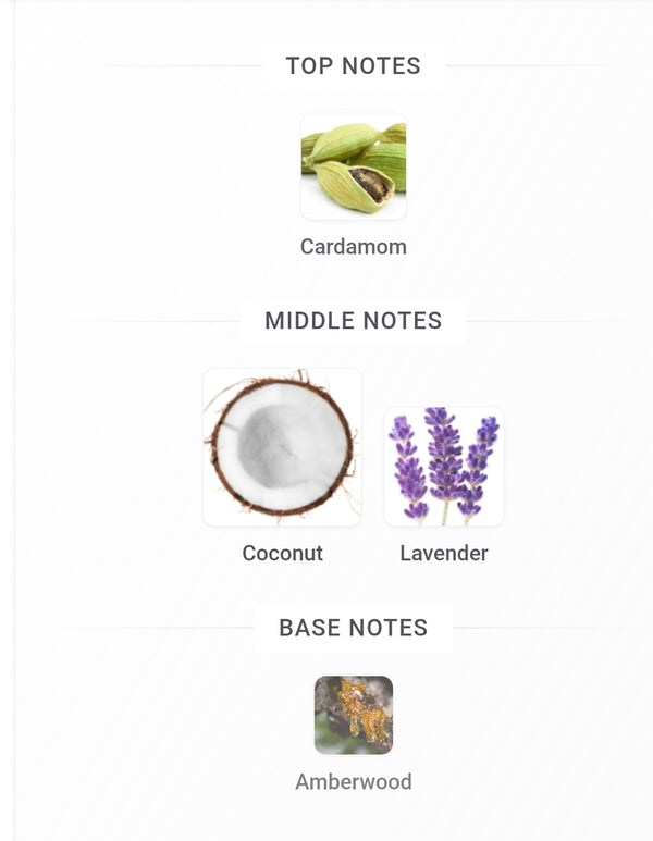 Valentino Uomo Born in Roma Purple Melancholia Valentino FRAGRANCE SAMPLES PRE-ORDER SHIP BY 4/1