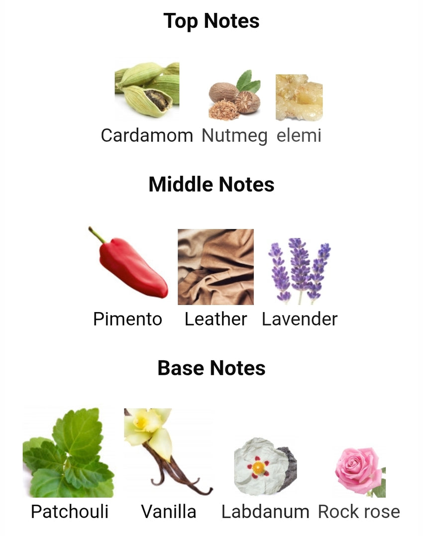 AFNAN 9PM ELIXIR 5ML DECANTS