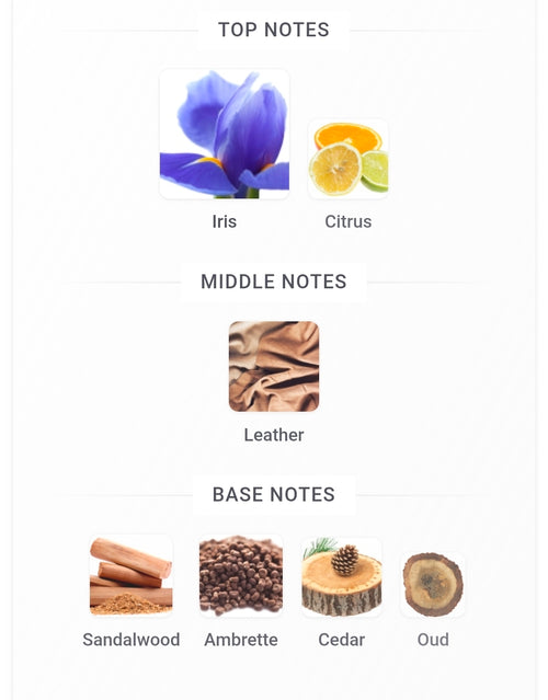 RAYHAAN OBSIDIAN(DIOR HOMME PARFUM TWIST) 5ML SAMPLES