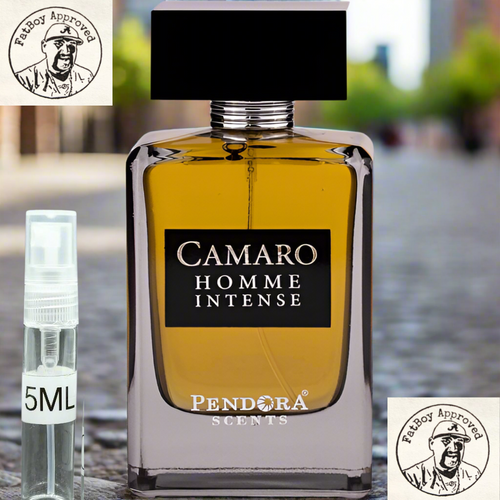 Paris Corner Camaro Homme Intense (Dior homme Intense TWIST) 5ML DECANTS