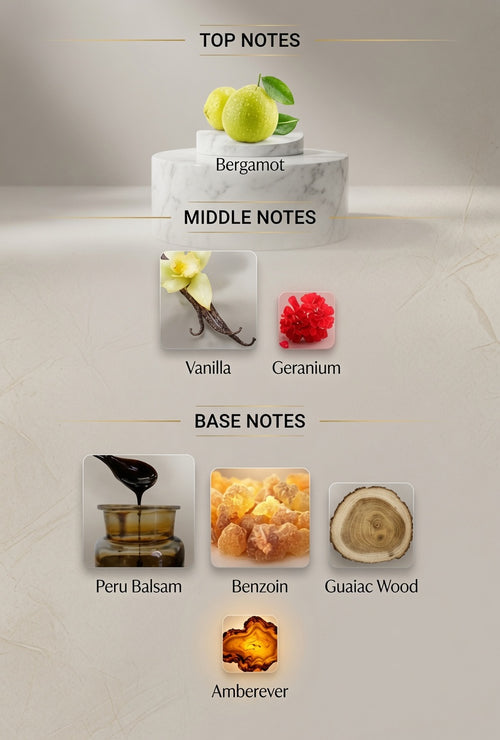 PRADA PARADIGME LE PARFUM FRAGRANCE SAMPLES