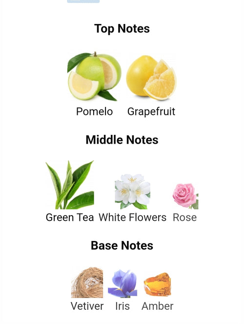 Gritti Pomelo Sorrento Fragrance Samples