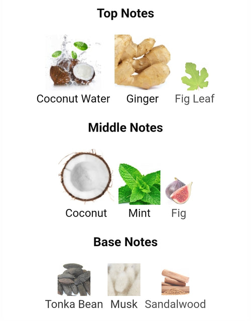 Rasasi Hawas for Him Tropical 5ml Decants