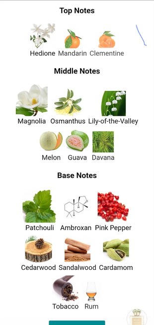 ROJA DOVE PARFUMS Isola Verde FRAGRANCE SAMPLES