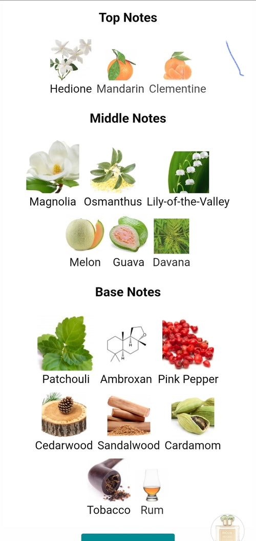 ROJA DOVE PARFUMS Isola Verde FRAGRANCE SAMPLES