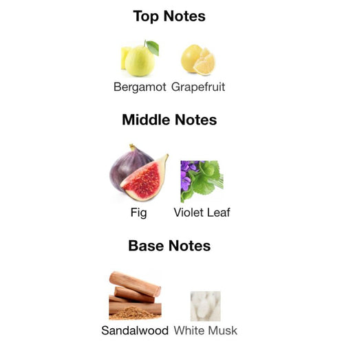 Rayhaan Jungle Vibe 5ML DECANTS