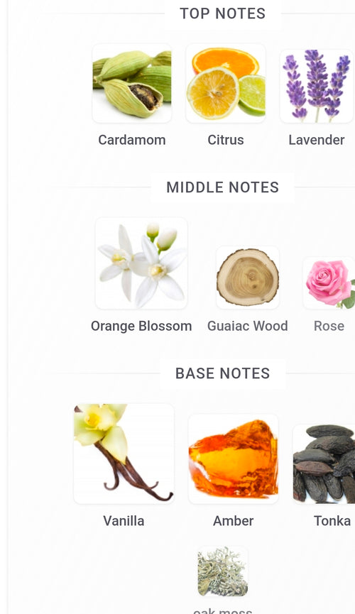 FRAGRANCE WORLD FRENCH AVENUE LIQUID BRUN LIMITED EDITION 5ML SAMPLES PRE-ORDER