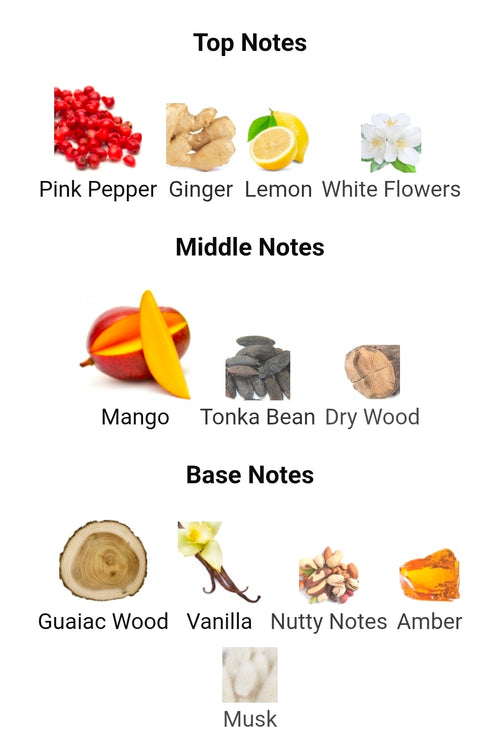 ARMAF ODYSSEY GO MANGO (GOD OF FIRE TWIST) 5ML DECANTS