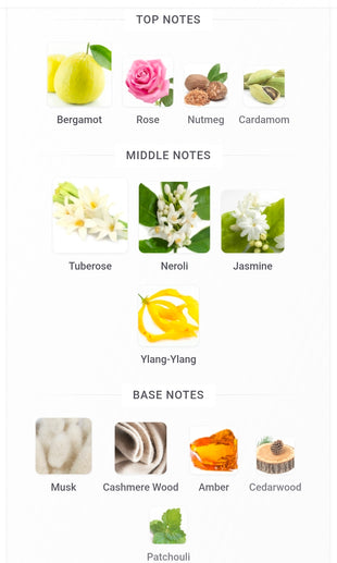 XERJOFF TORINO23 FRAGRANCE SAMPLES