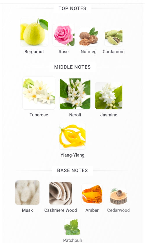 XERJOFF TORINO23 FRAGRANCE SAMPLES