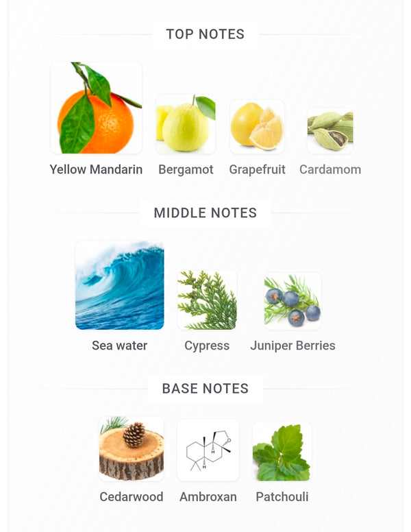 Dolce&Gabbana Light Blue Pour Homme Eau de Parfum FRAGRANCE SAMPLES PRE-ORDER SHIP BY 4/1