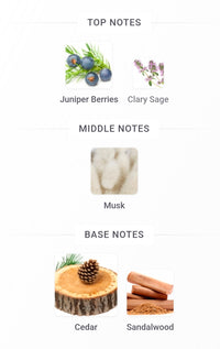 NARCISO RODRIGUEZ MUSC SANTAL FRAGRANCE SAMPLES PRE-ORDER SHIP BY 2/8