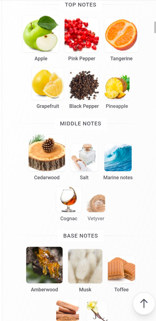 DUMONT NITRO GOLD 5ML SAMPLES