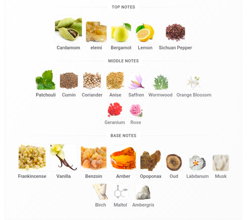 RAYHAAN TERRA (Amouage Outlands TWIST) 5ML SAMPLES