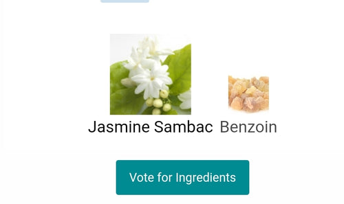 CLUB FOR MEN Fragrance One JEREMY FRAGRANCE